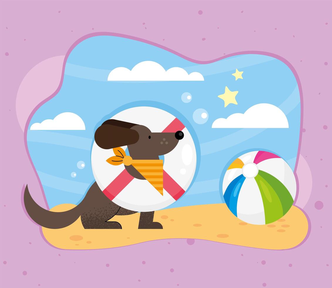 dog pet with float vector