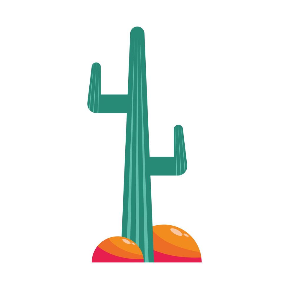 desert cactu plant vector
