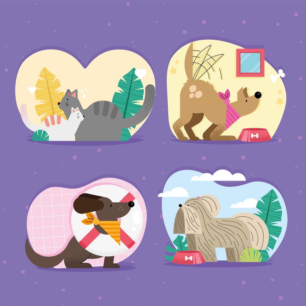 group of cute pets vector