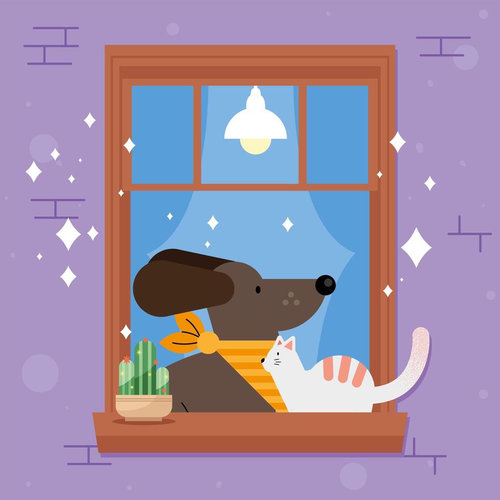 cute pets in window vector