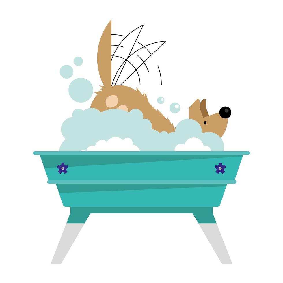 perro mascota en la bañera vector