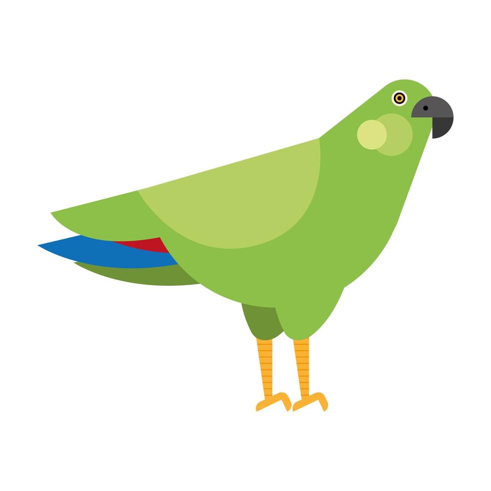 green parrot exotic bird vector