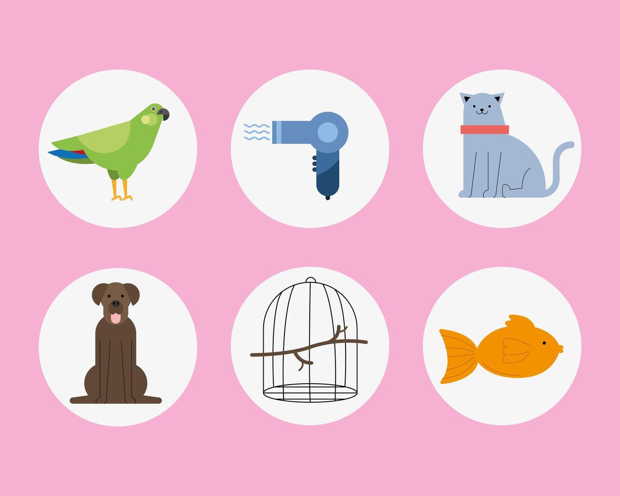 six veterinary service icons vector