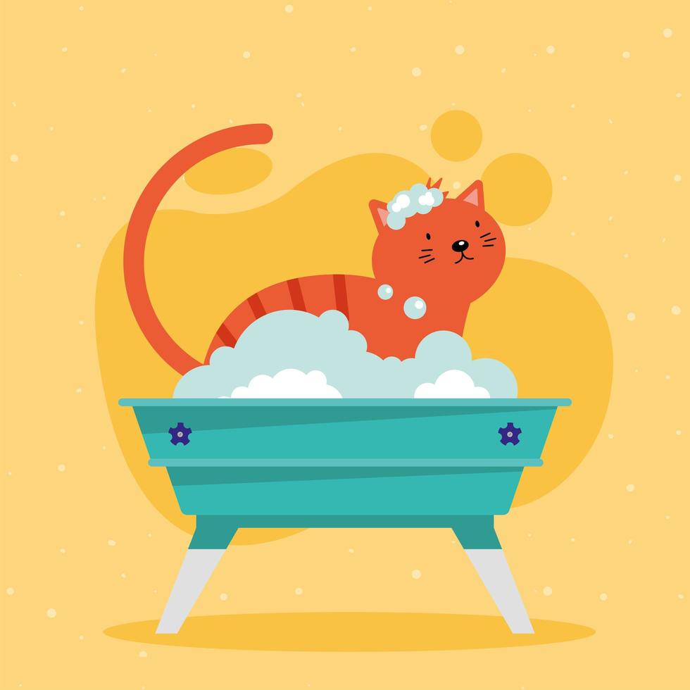 orange cat in bath vector