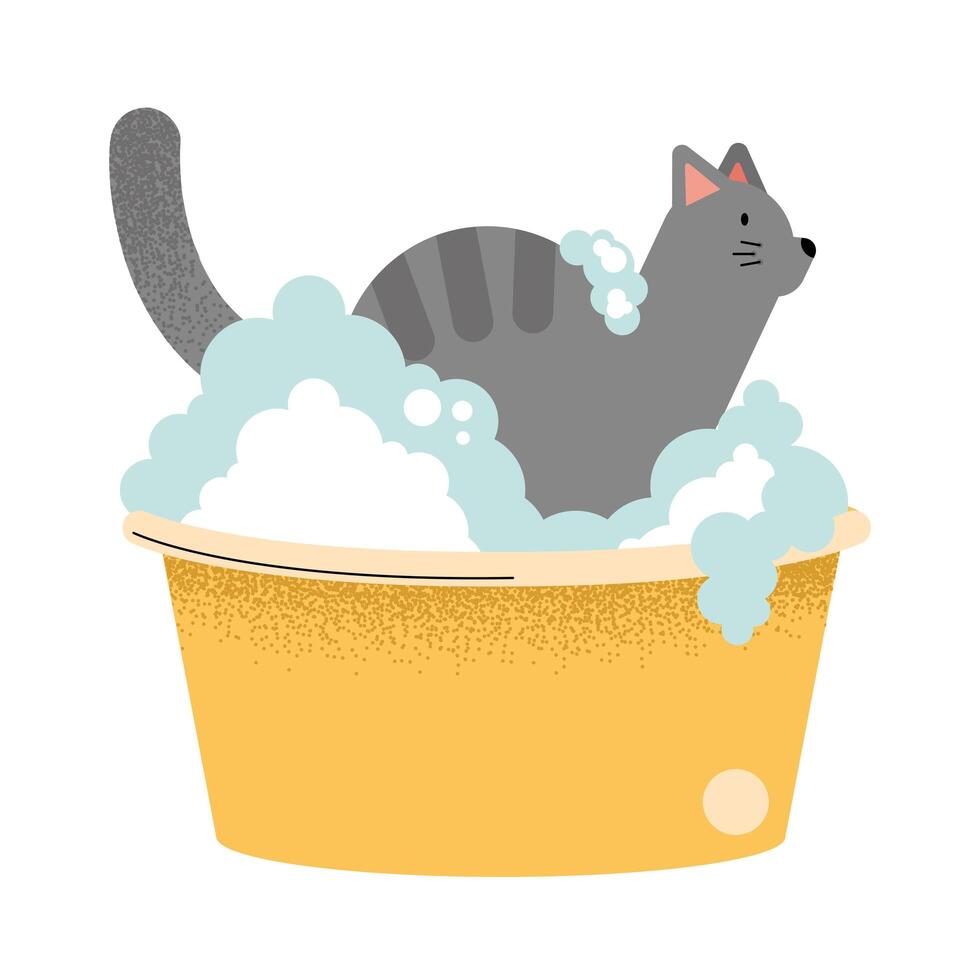 gato mascota en la bañera vector