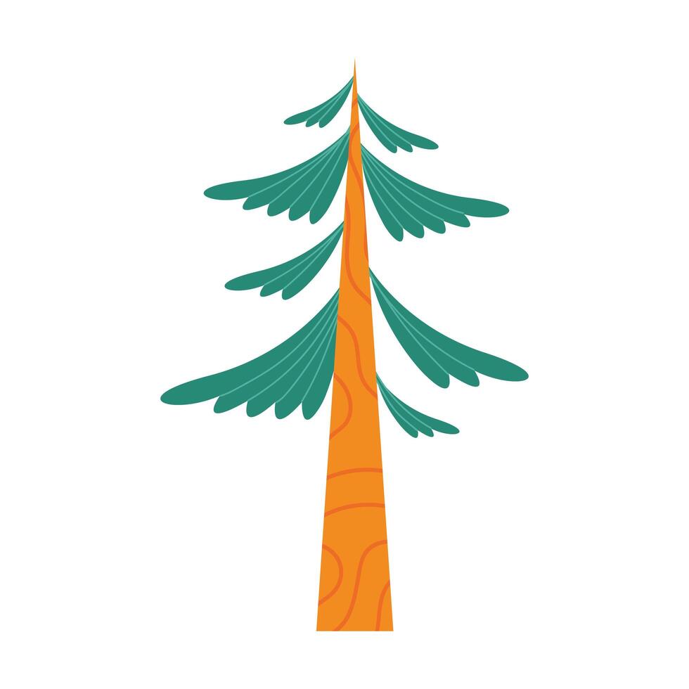 bosque de pinos vector