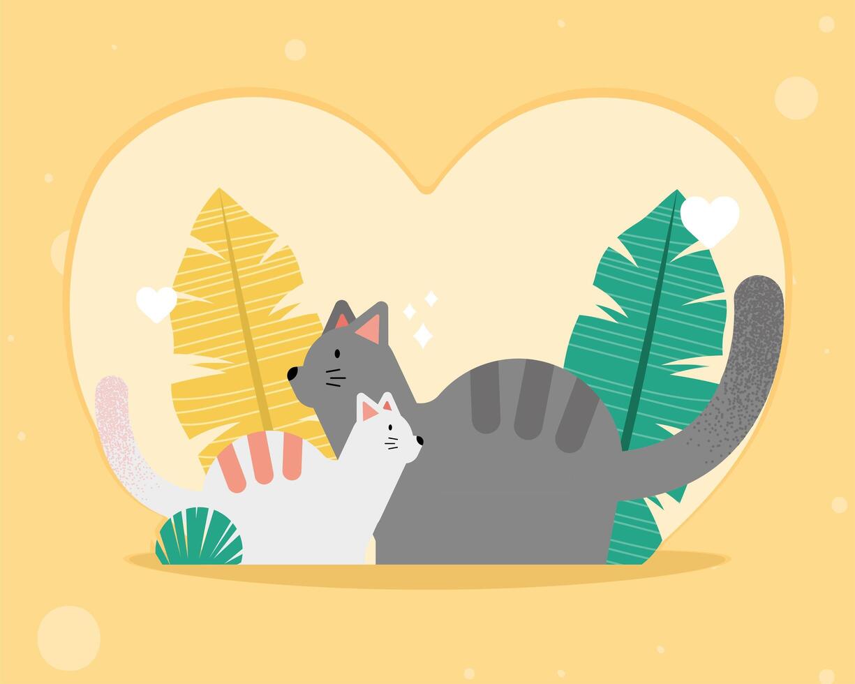 mascotas de gatos en el corazón vector