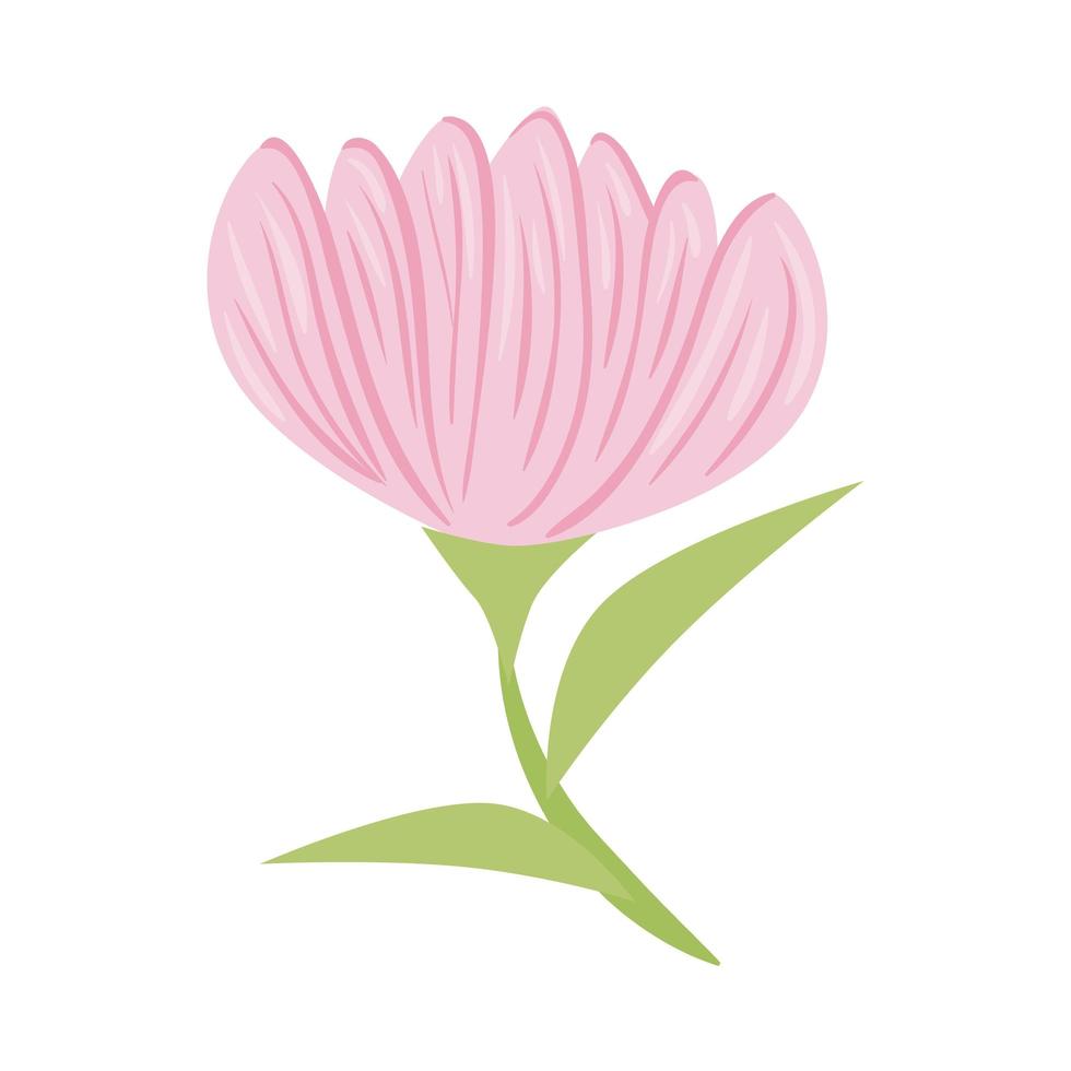 flor rosa con hojas de diseño vectorial vector