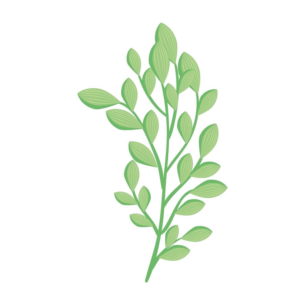 Isolated green leaves vector design