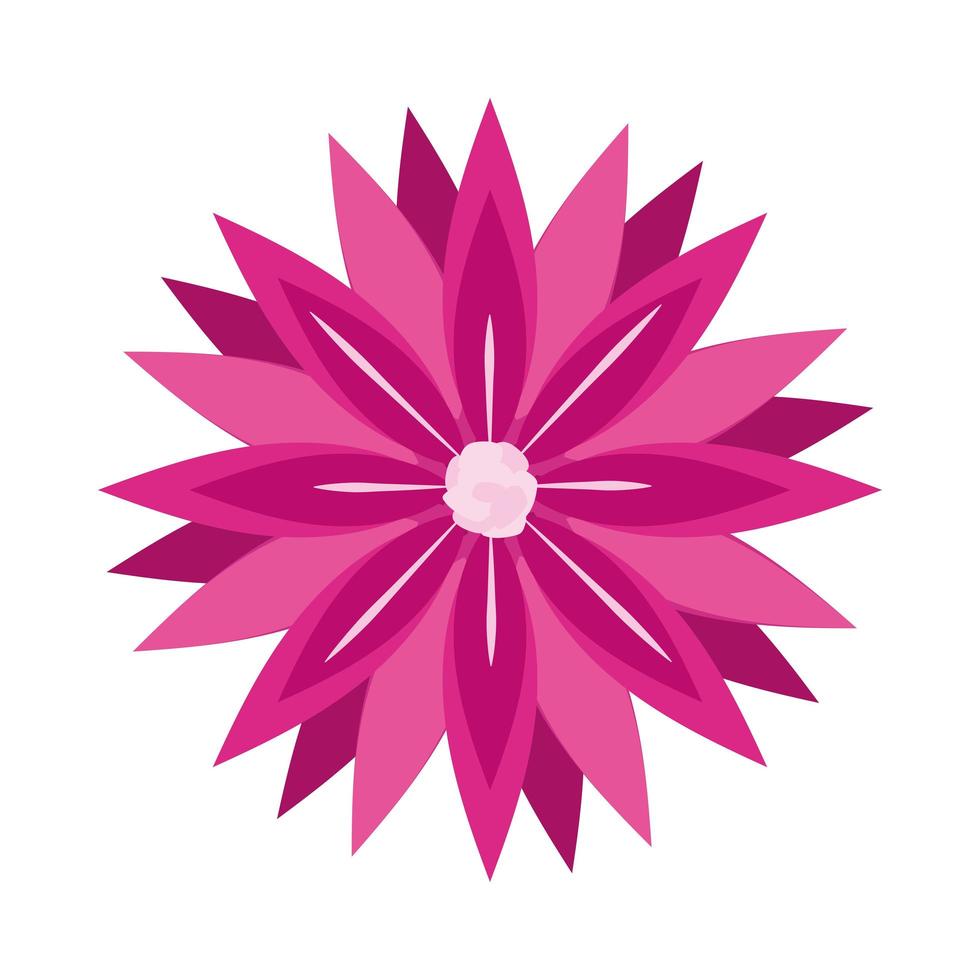 beautiful flower with pink petals vector