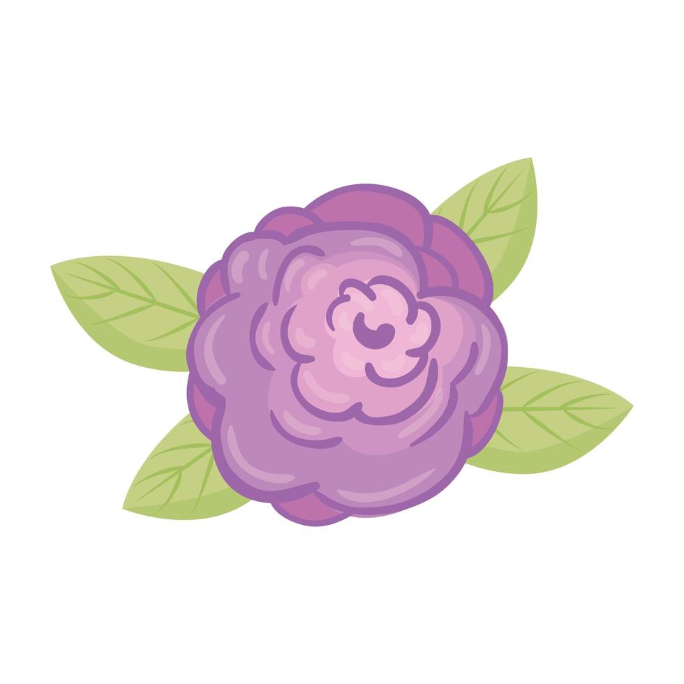 flor morada con hojas de diseño vectorial vector