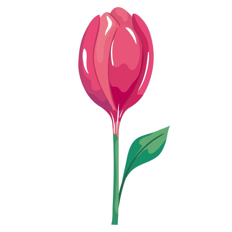 rose with leaf vector