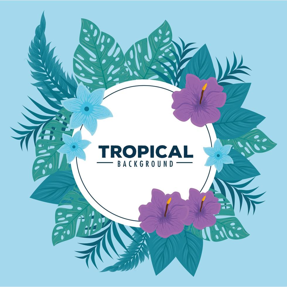 tropical background, frame circular with hibiscus, branches and tropical leaves vector