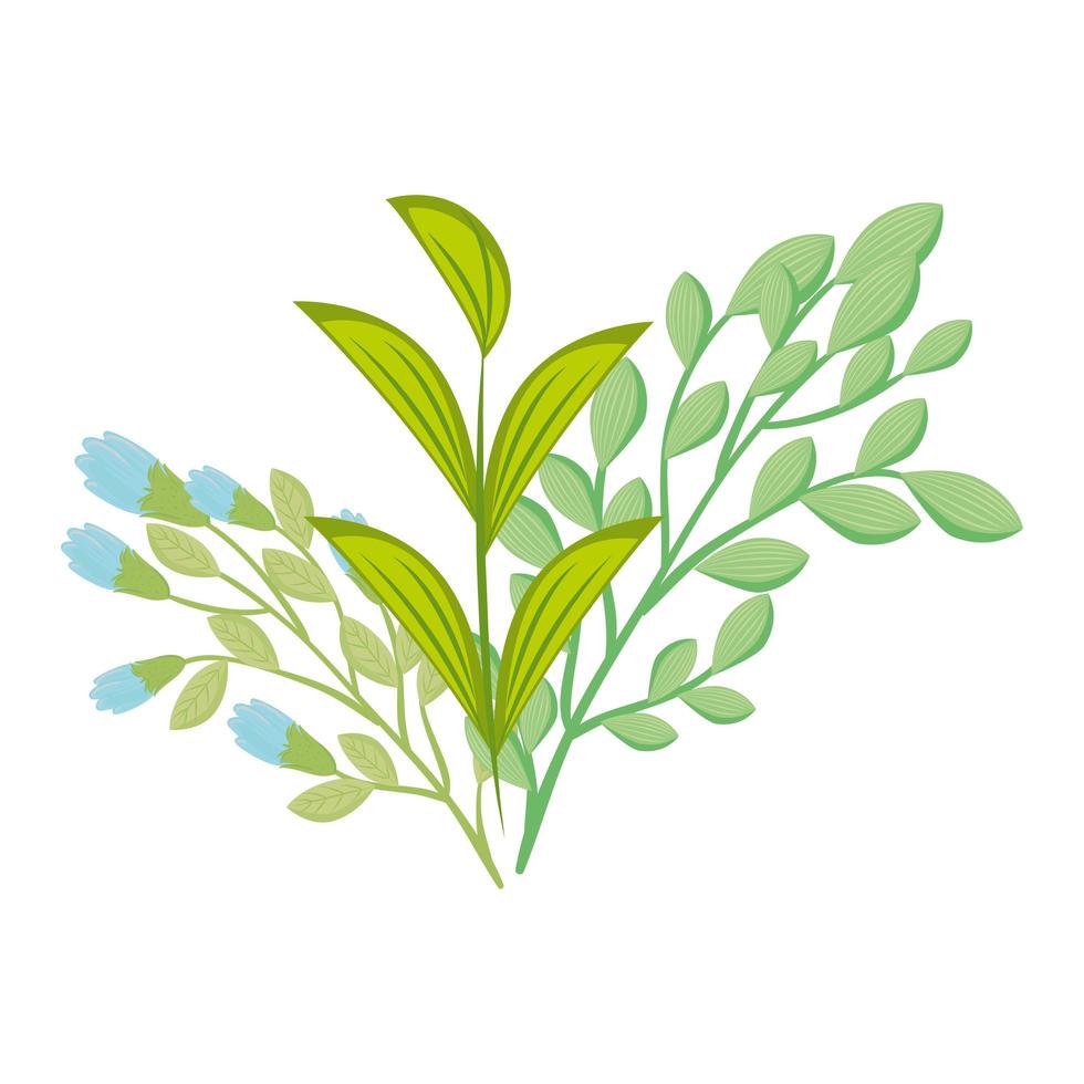 Isolated green leaves vector design