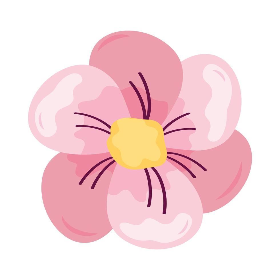 cute flower with six petals vector