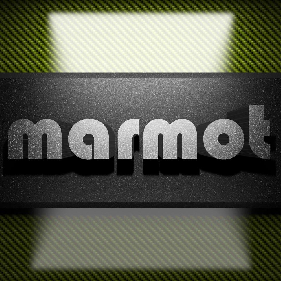 marmot word of iron on carbon photo