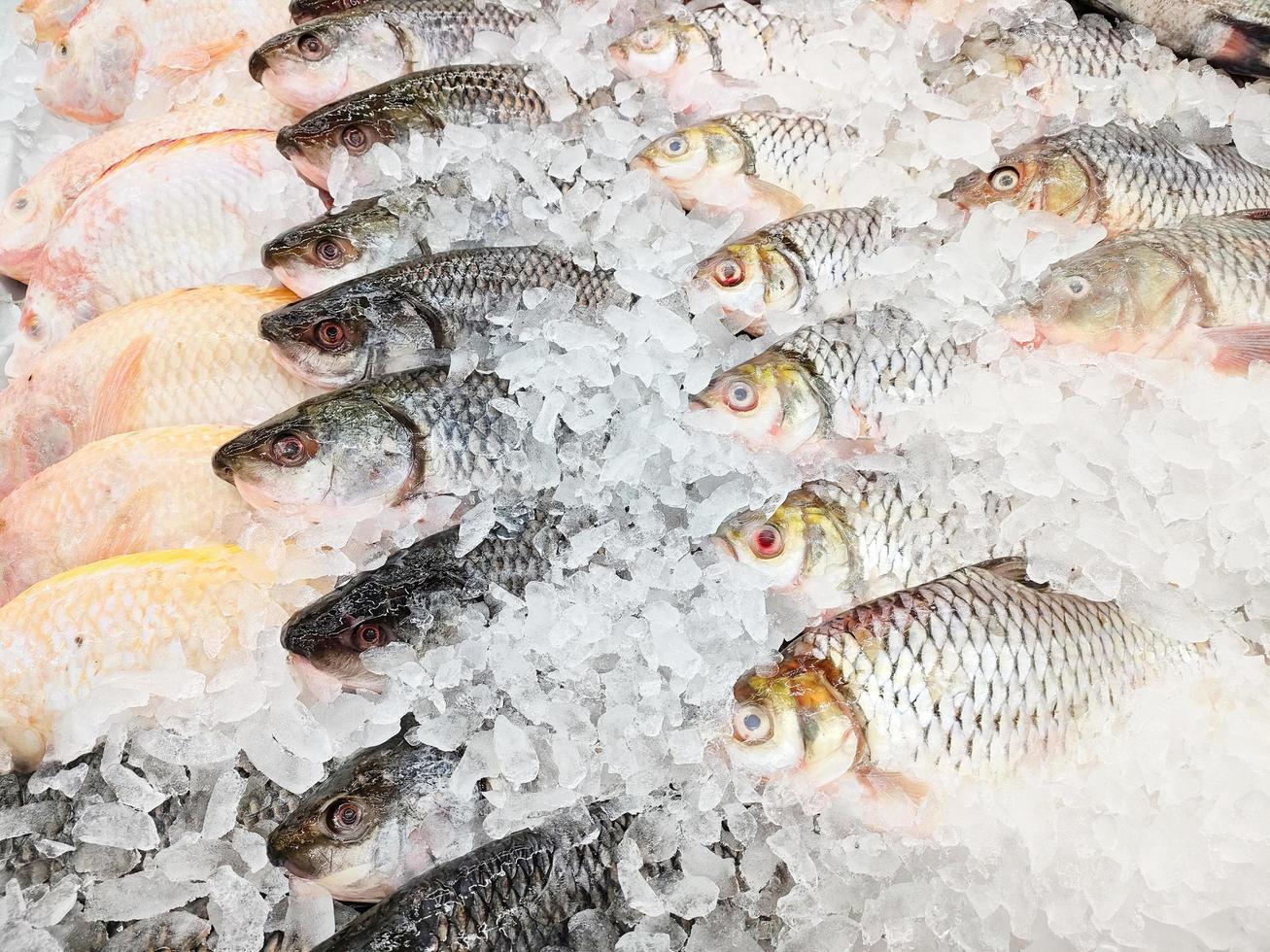 Pescado de púas de plata fresco a la venta en el restaurante de mariscos del mercado, pescado de carpa crudo sobre hielo foto