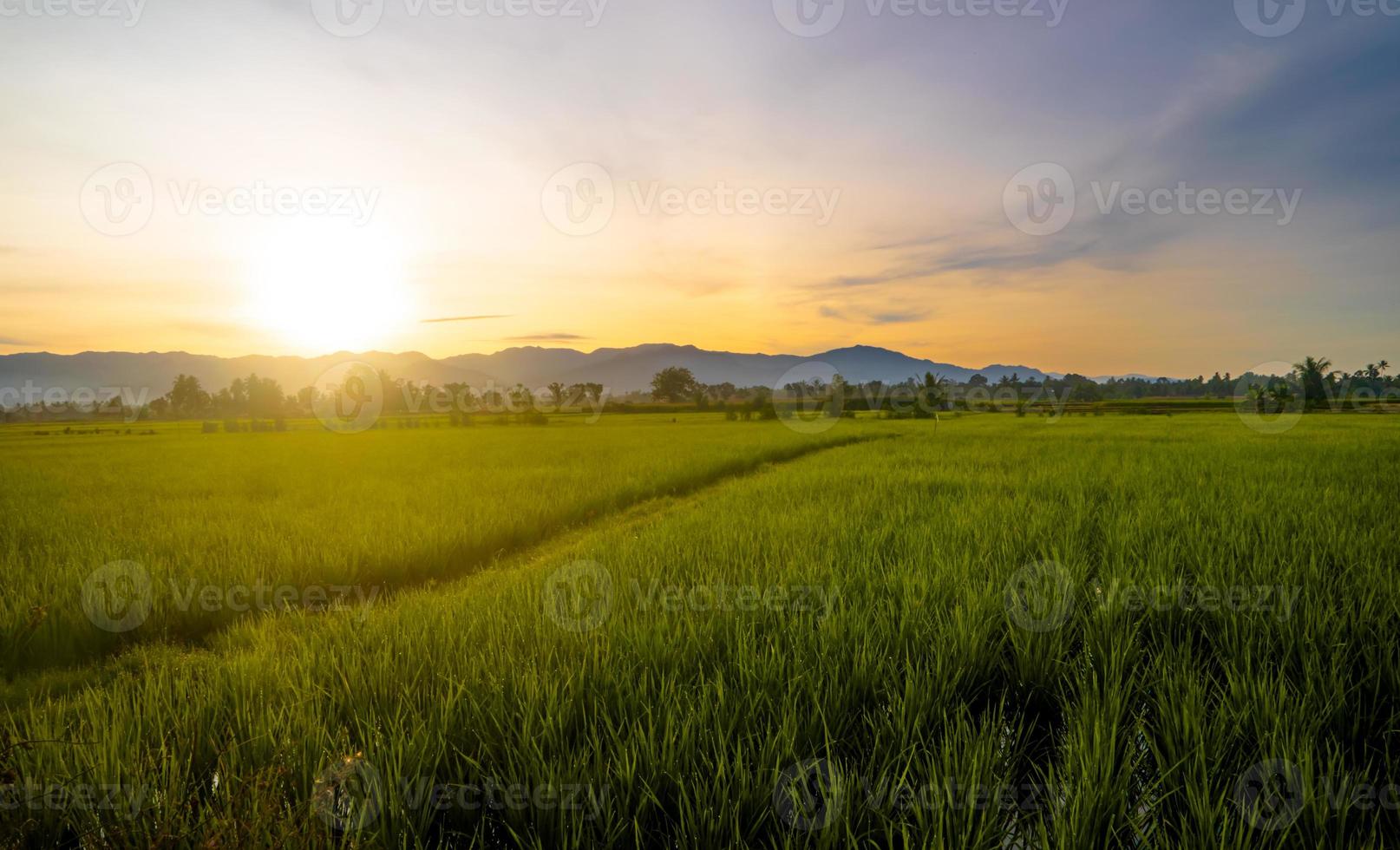 Beautiful morning time in rural farm with bright sunrise photo