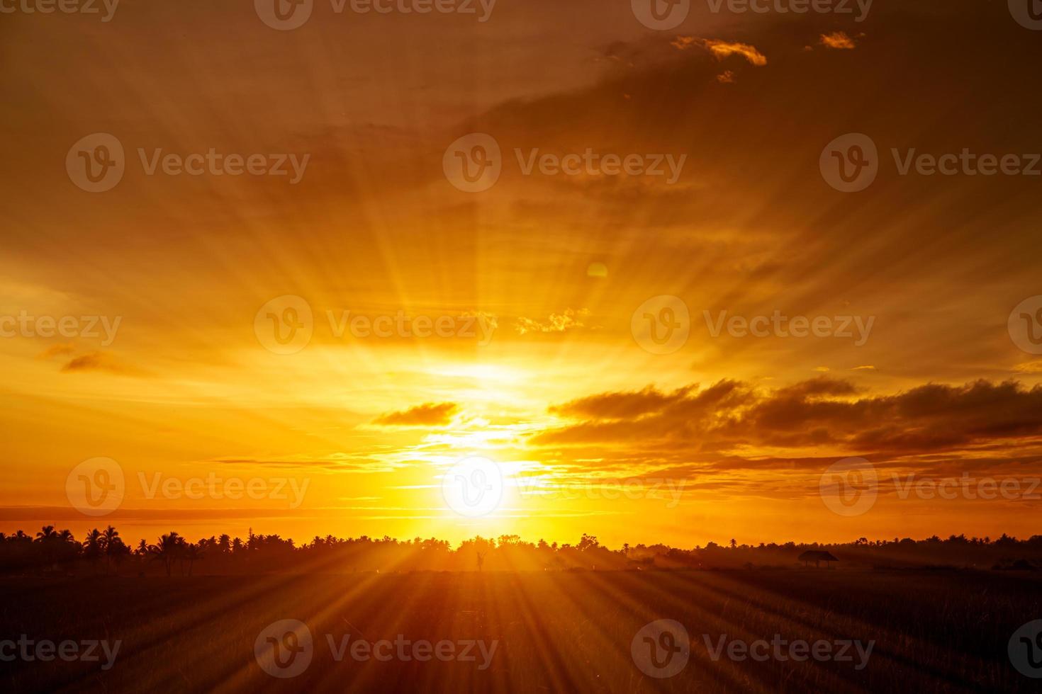 paisaje dorado del horizonte del cielo del atardecer foto