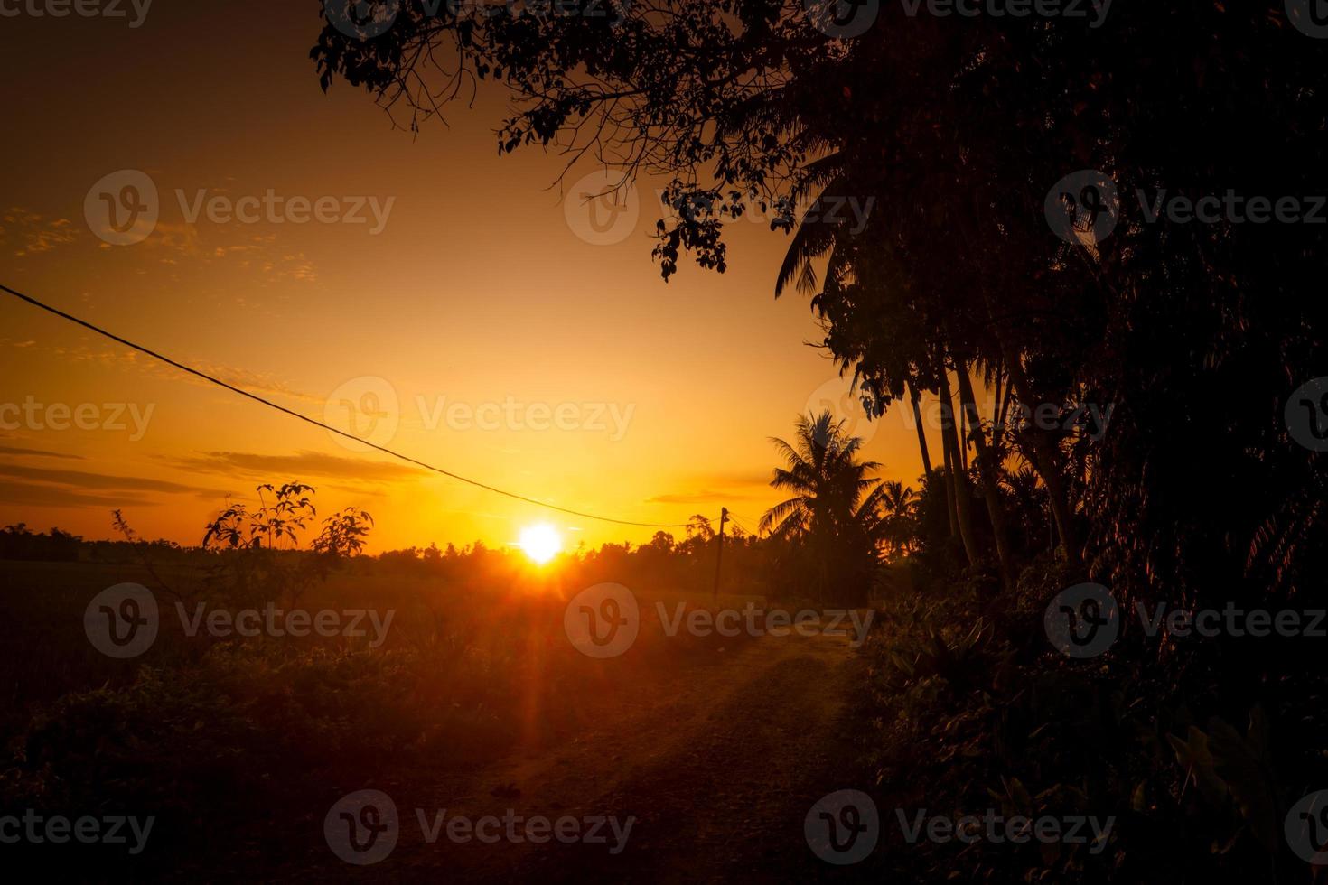 Rural sunset in Indonesia with trees, path and sunlight photo