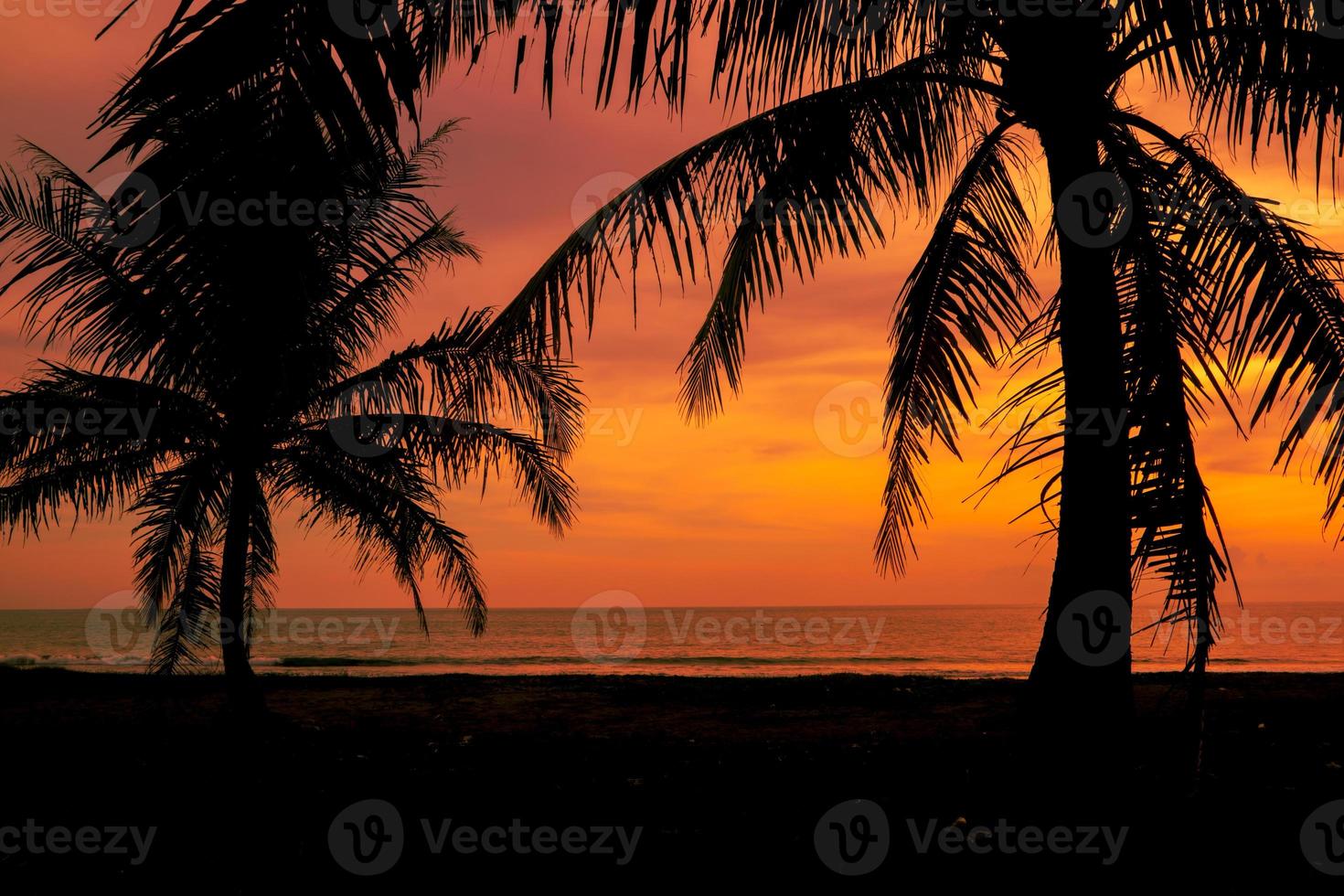 tiro de silueta de cocoteros en la puesta de sol de playa tropical foto