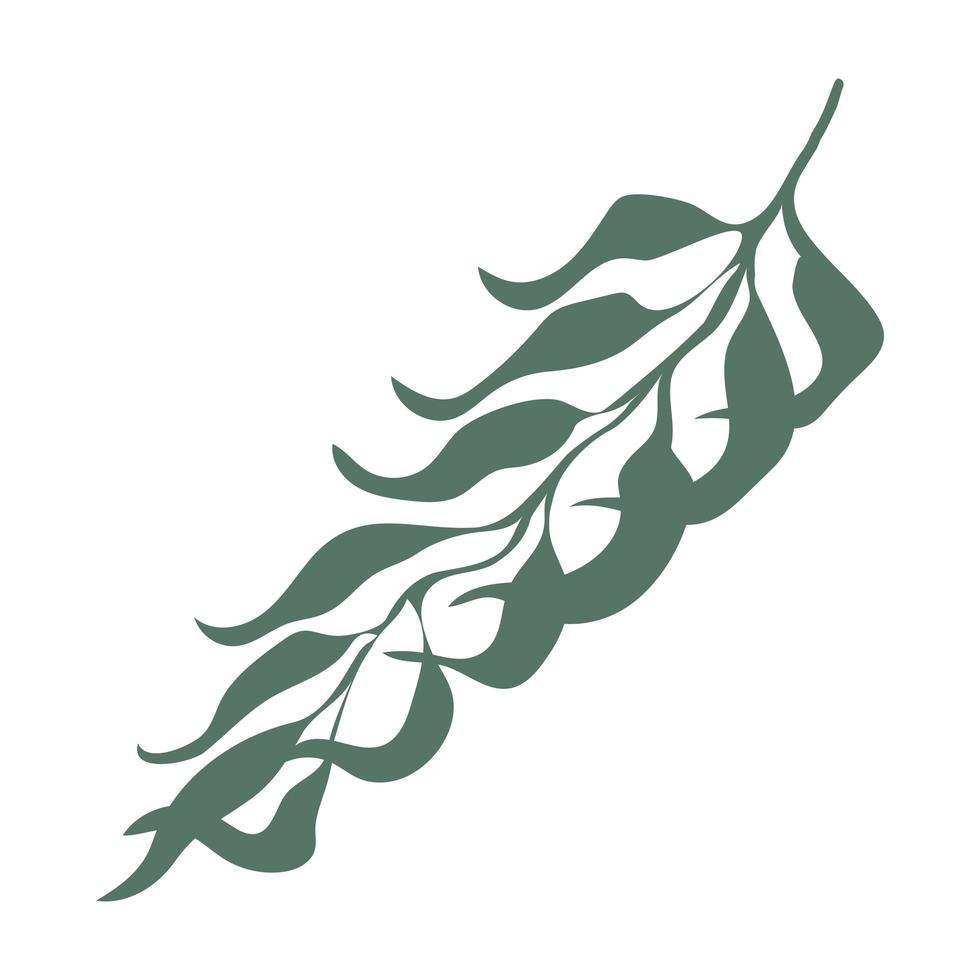 Palm Three Leaf Illustration vector