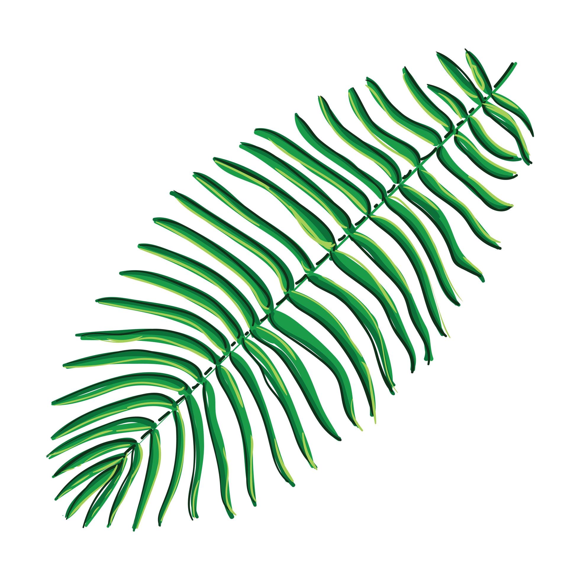 Palm Leaf Illustration 6169488 Vector Art at Vecteezy