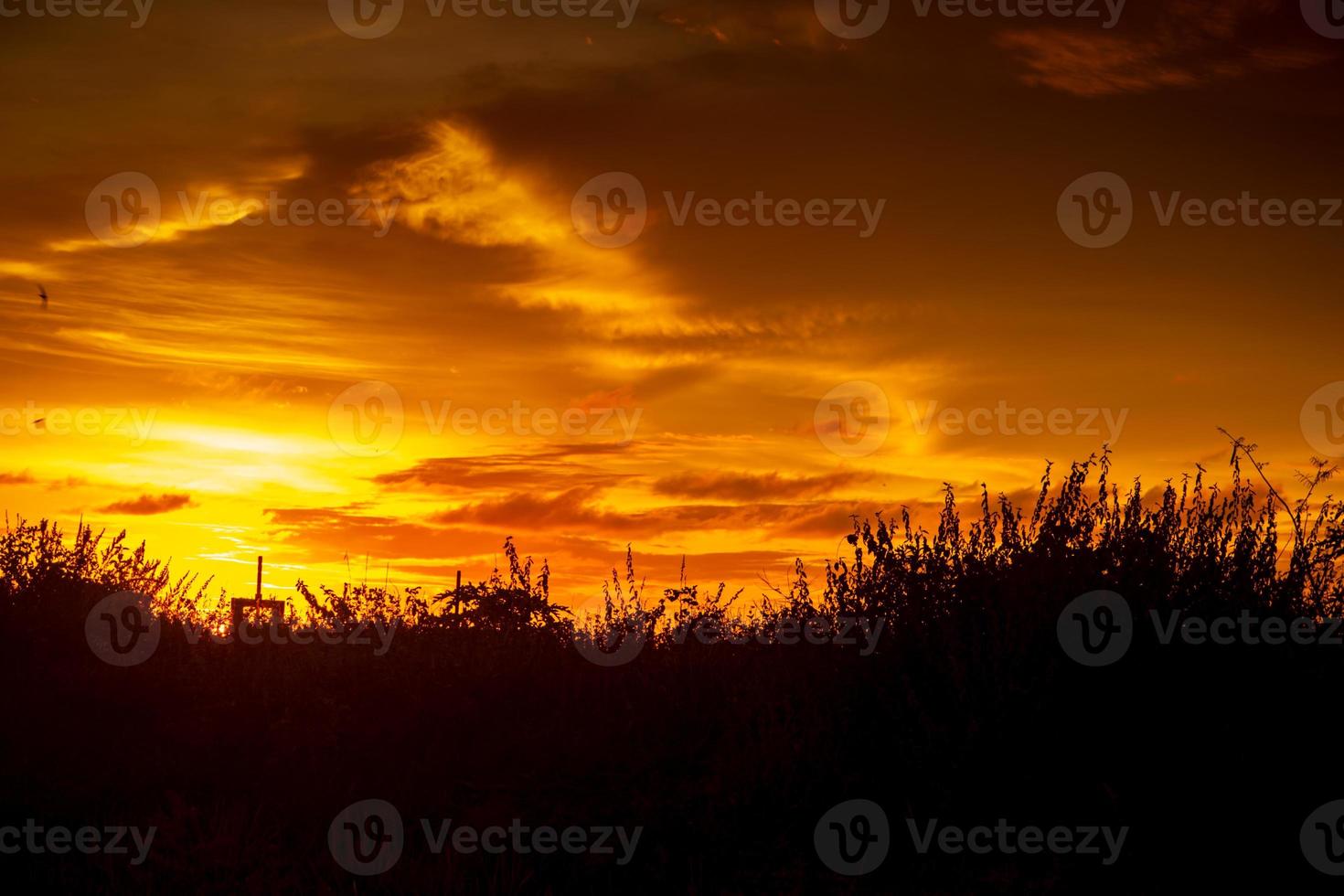 hermosa silueta de puesta de sol con cielo dorado foto