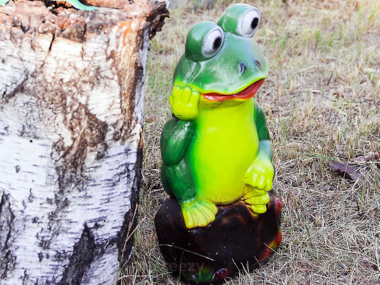 gran rana verde hermosa junto al cáñamo de abedul foto