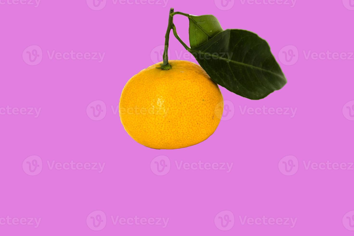 Tangerines fruit on branch with green fresh leaves isolated on pink background. photo