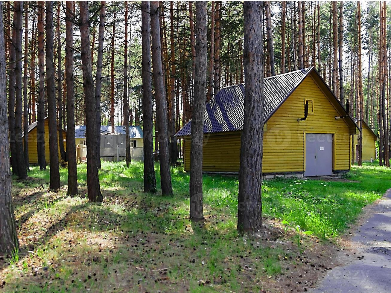 wooden house in the woods the forest photo