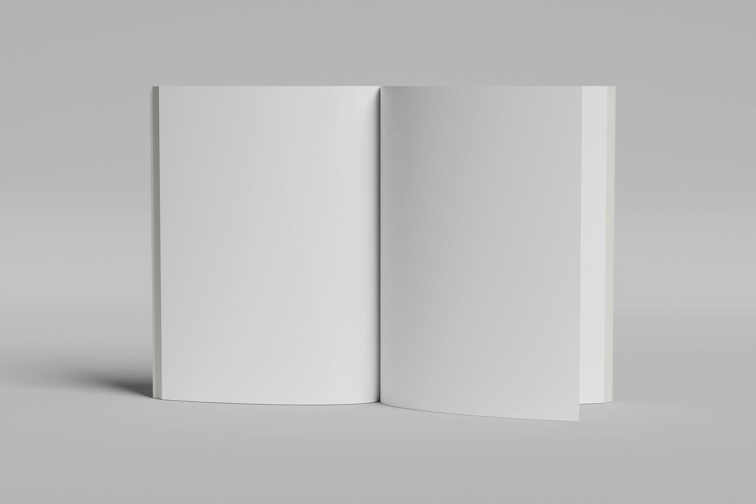 Blank white mock up book photo