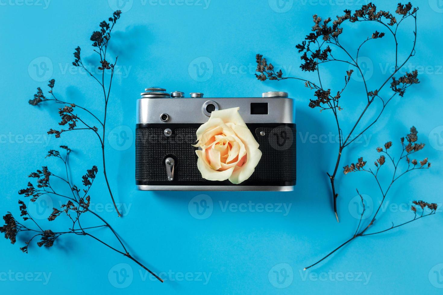 en blanco para decorar postales o un certificado de regalo para un fotógrafo. cámara antigua sobre un fondo rosa con flores secas grises y espacio para texto foto