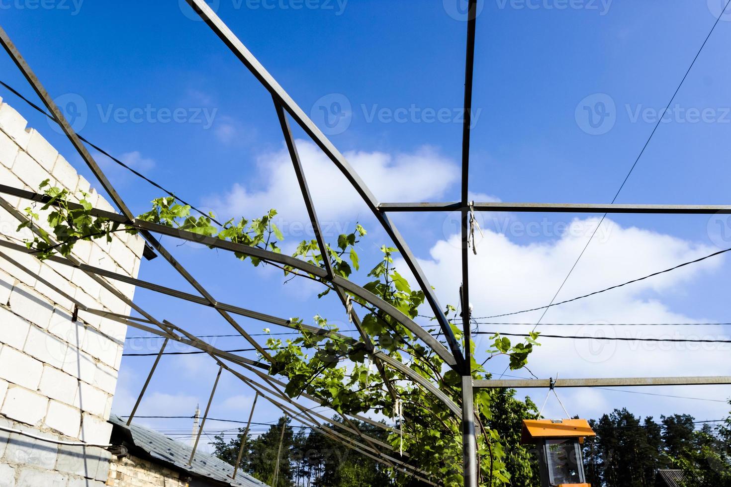 tensile roof structure outdoor day spring sunny photo