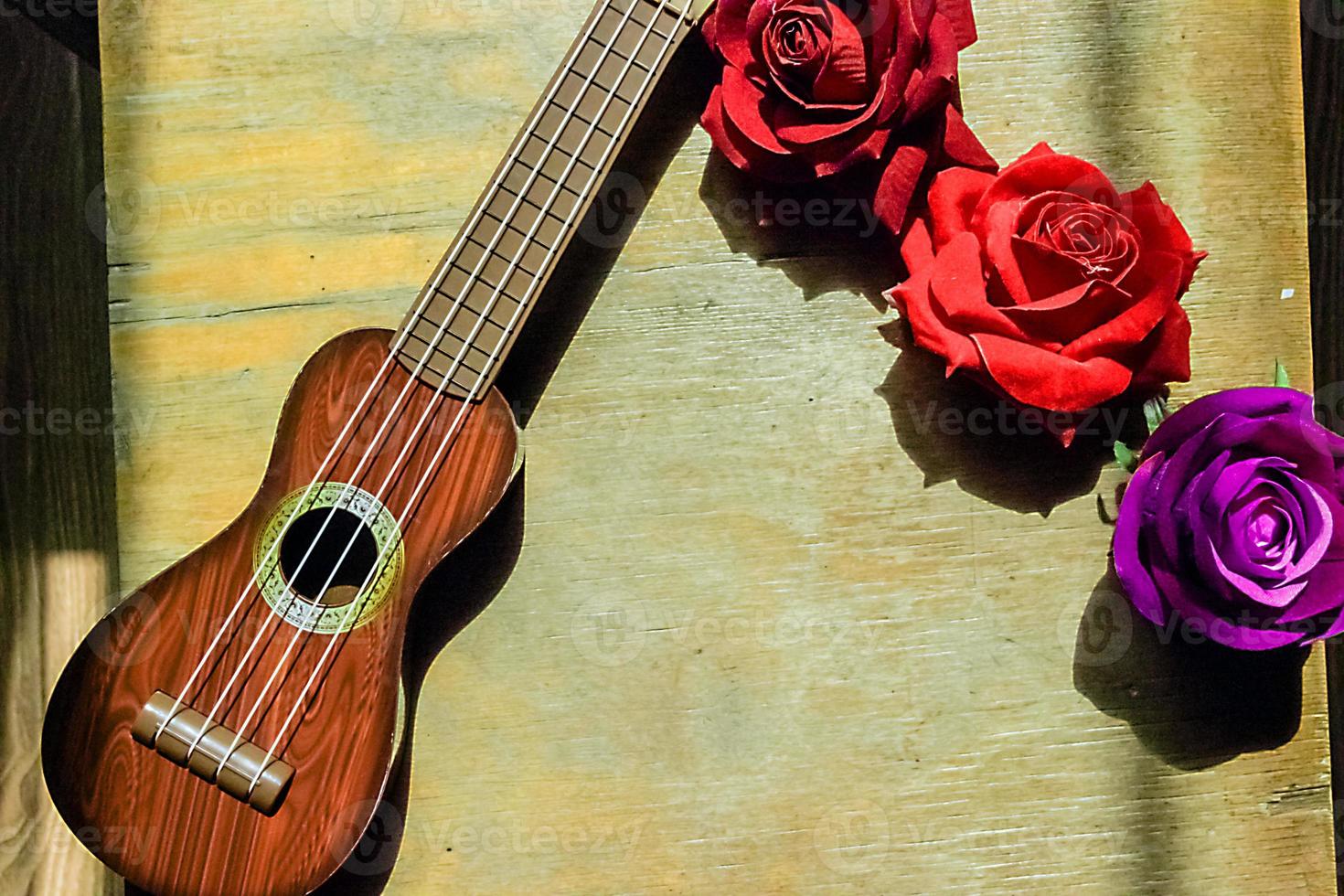 rosa roja en un cuello y diapasón de ukelele de guitarra púrpura. foto