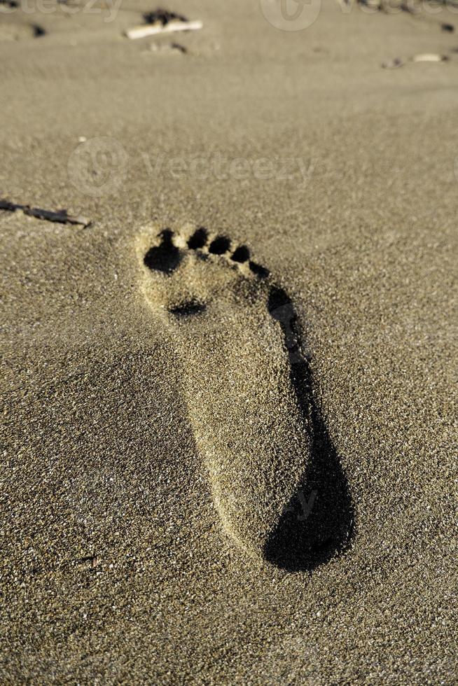 Footprints in the beach sand photo