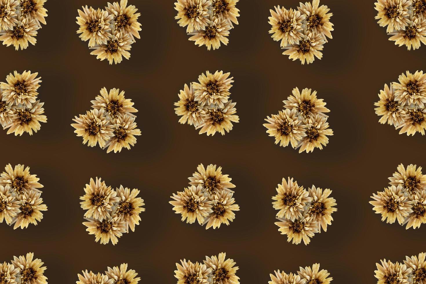 Dried flowers, Top view. photo