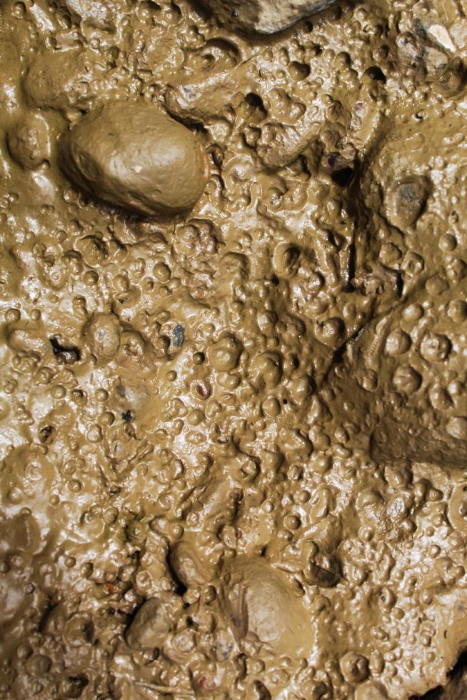 this is the texture of the mud soil covering the rock photo
