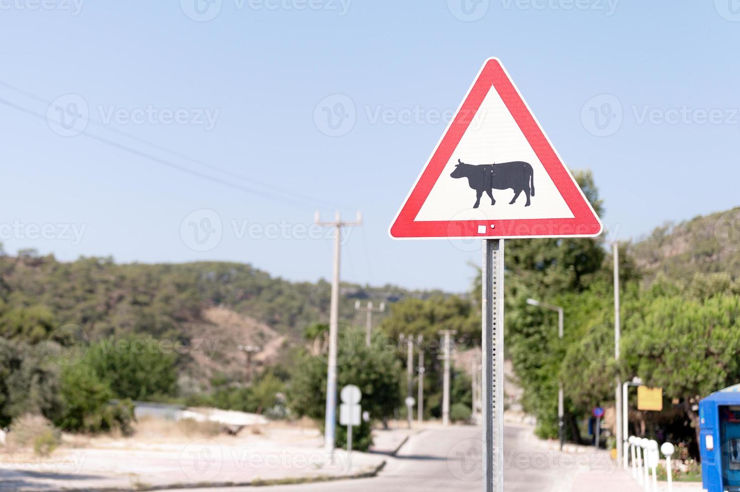 traffic sign road photo