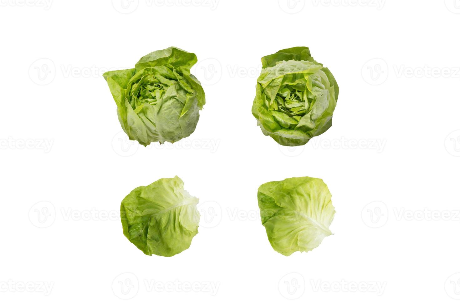 Lettuce heads and leaves isolated 6173096 Stock Photo at Vecteezy