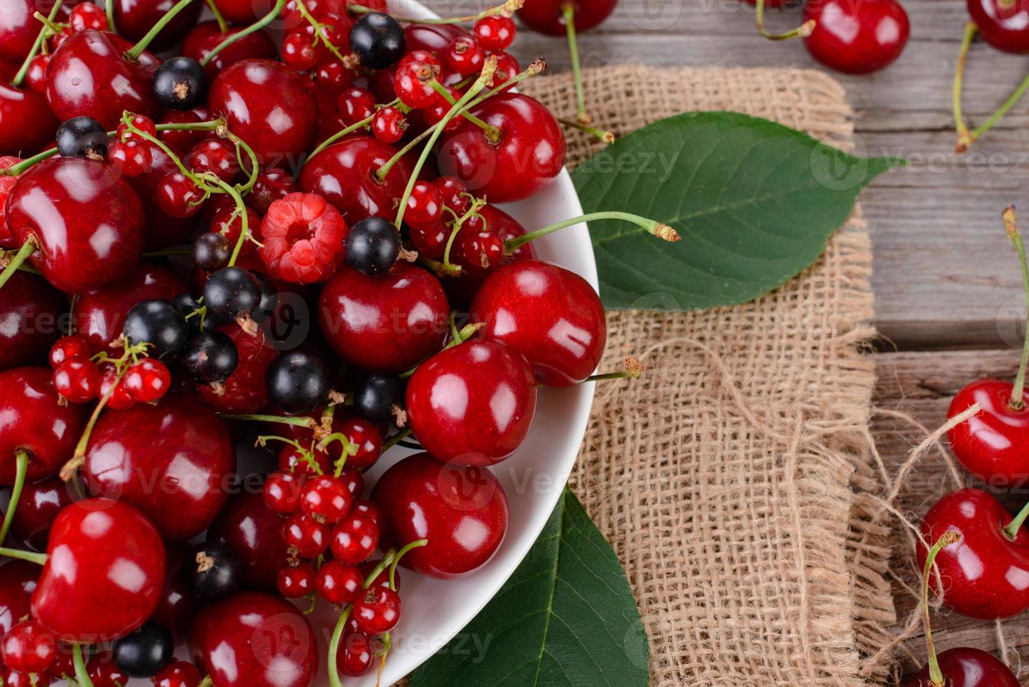 Close up of pile of ripe cherries with stalks and leaves photo