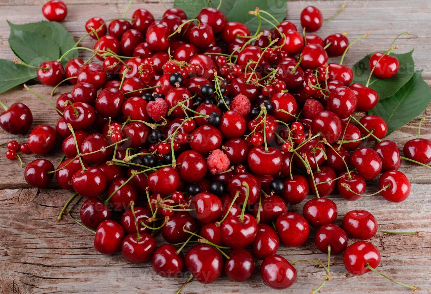 primer plano de un montón de cerezas maduras con tallos y hojas foto