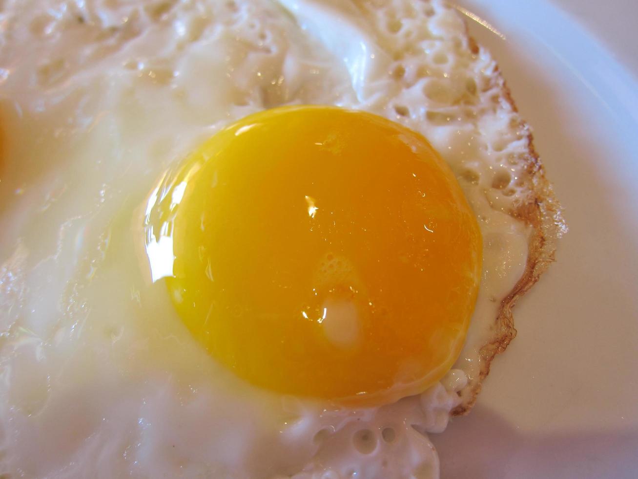 fresh egg dish with yolk for breakfast photo