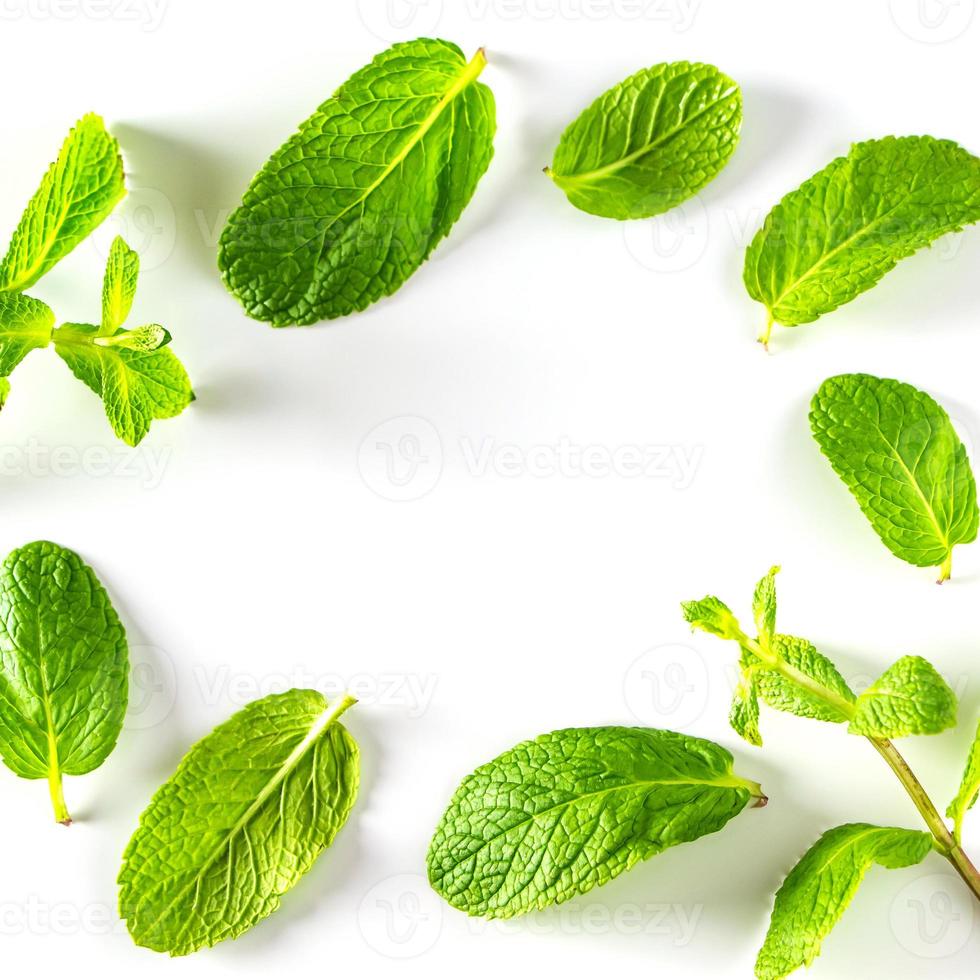 marco de hojas de menta verde. foto