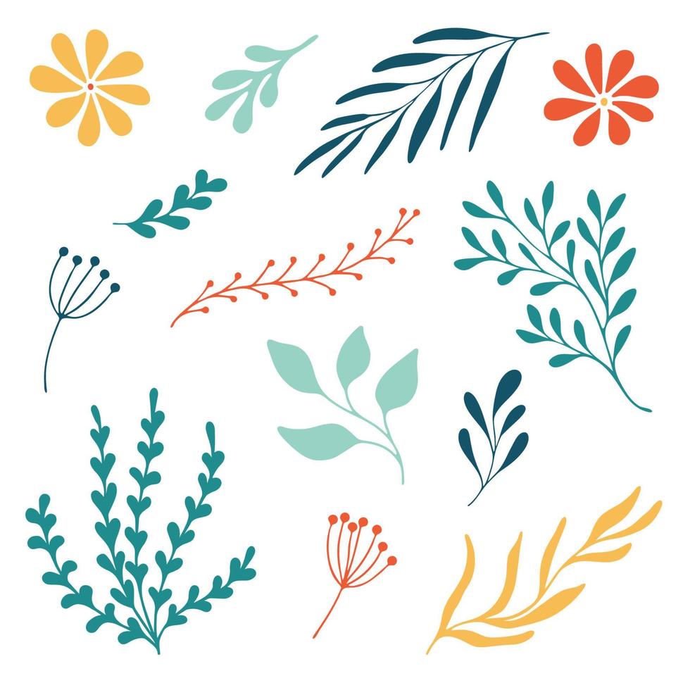 Set woodland leaves illustration. Hand draw vector collection of cute foliage. Summer and autumn design elements.