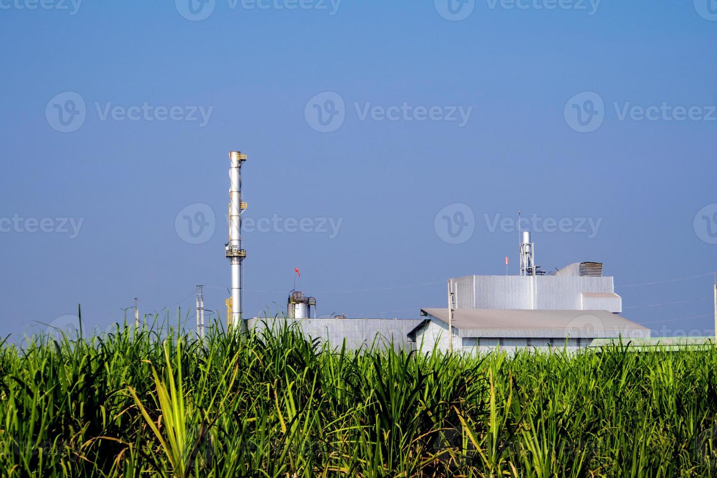 chimeneas y fábricas en fincas de caña de azúcar foto