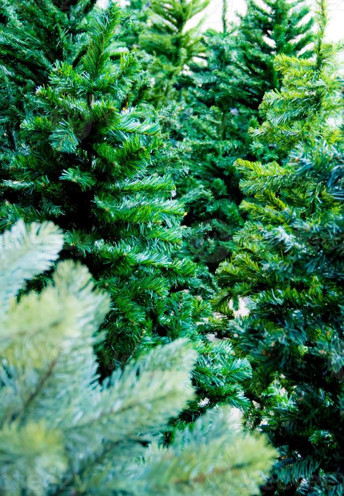 Artificial foliage of artificial Christmas tree photo