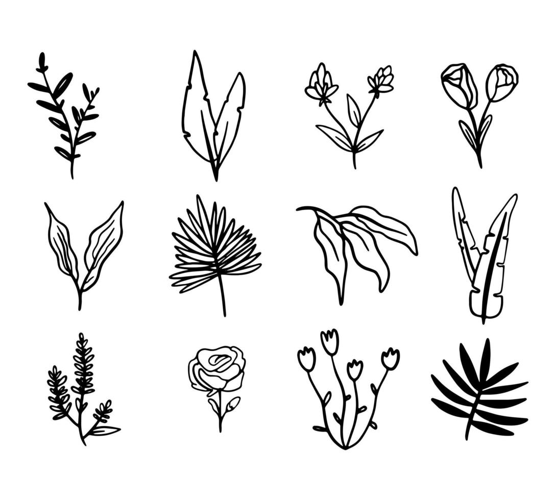 Vector collection Line art of flowers and plants. Decorative beauty elegant illustration for design. Hand drawn flowers set.
