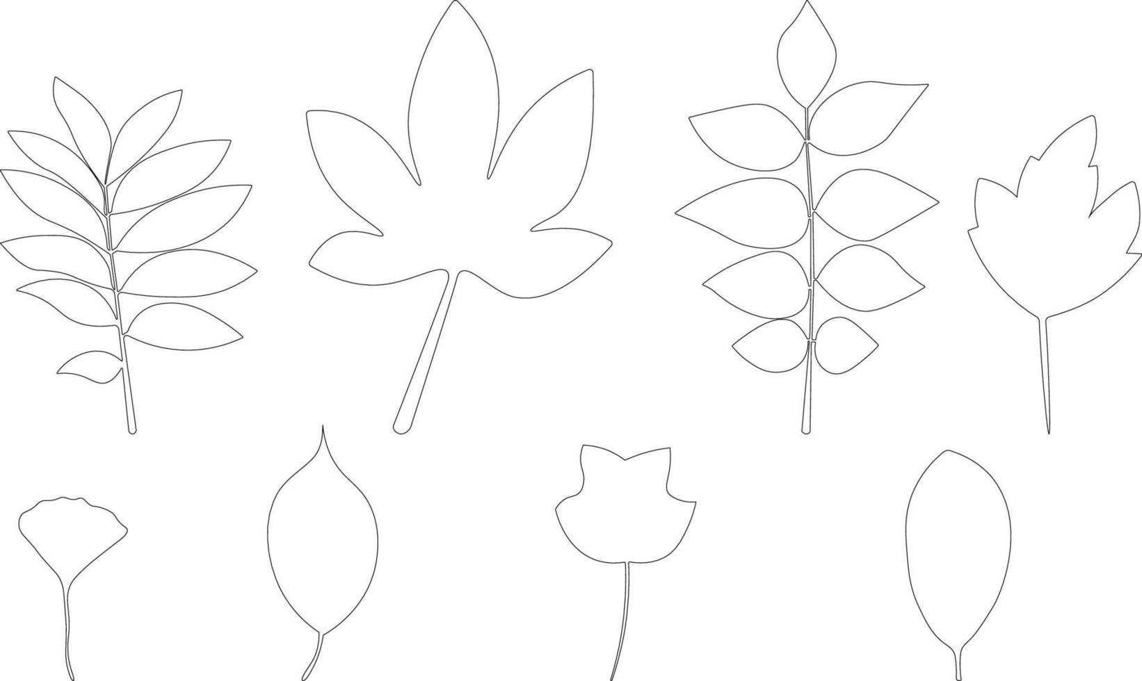 Leaf outline drawings collection vector