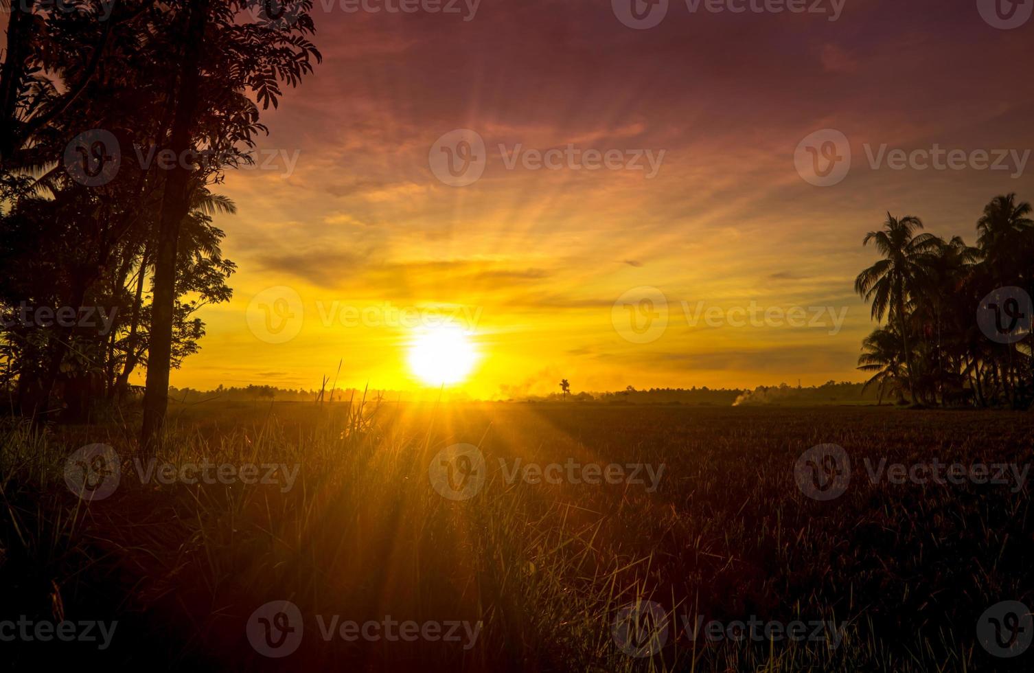 Golden sunset sky with sunrays photo